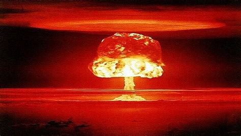 Atomic Mushrooms Betfair