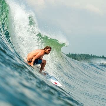 Blackjack De Surf De Whitianga Nz