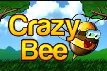 Crazy Bee Review 2024