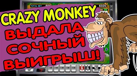 Crazy Monkey Bet365