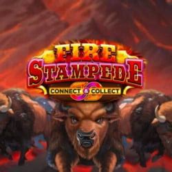 Fire Stampede Review 2024