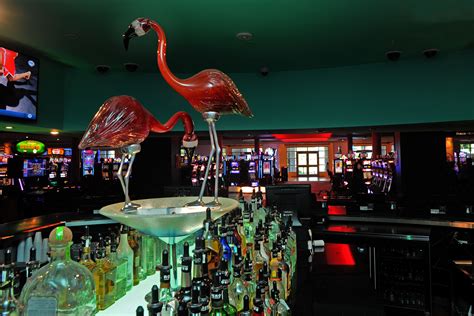 Flamingo Bar   Jogo