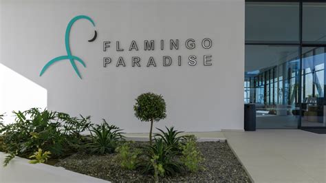 Flamingo Paradise Betway