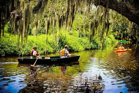 Frog Creek Betsul