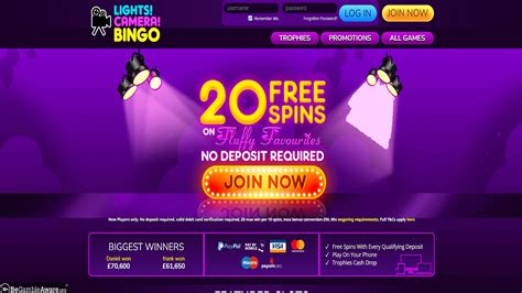 Lights Camera Bingo Casino Online