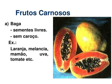 Livre De Fendas De Fruto Sem Download