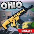 Logan Ohio Jogo Raid