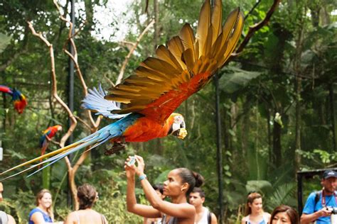 Monte Casino Parque Das Aves Taxas