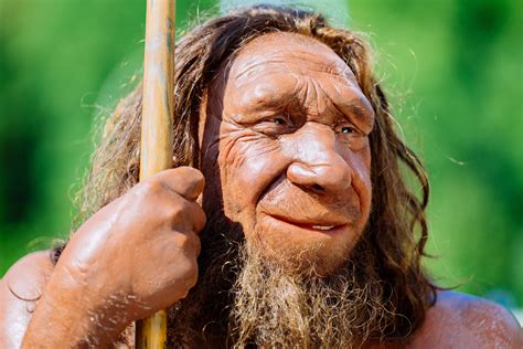 Neanderthals Bet365