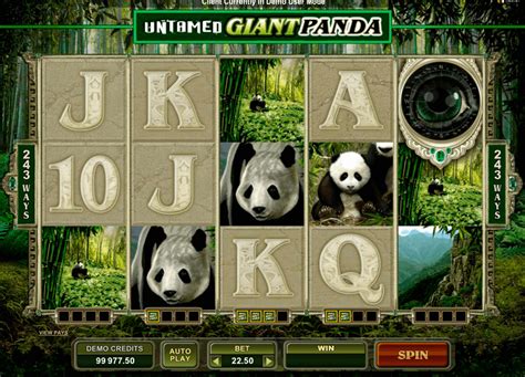 Play Giant Panda Slot