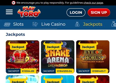 Playtoro Casino Mobile