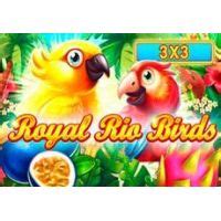 Royal Rio Birds 3x3 Review 2024