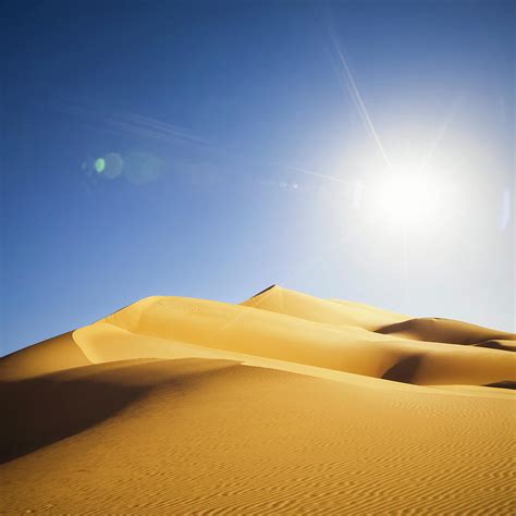 Sahara Sun Bwin