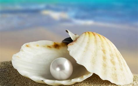 Sea Of Pearls Betano