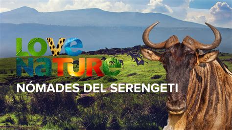 Serengeti Betfair