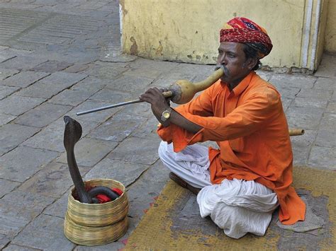 The Snake Charmer Betsul