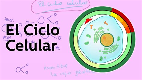 Traktor Slot Celula Estado