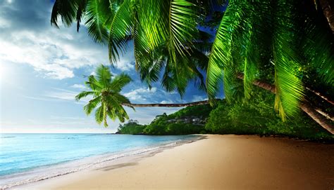 Tropic Paradise Bwin