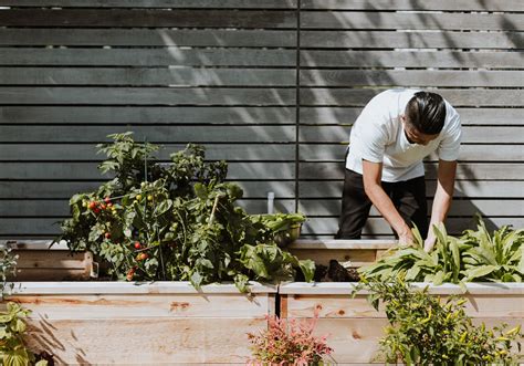 Veggies Plot Betsul