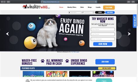 Whisker Wins Casino Paraguay