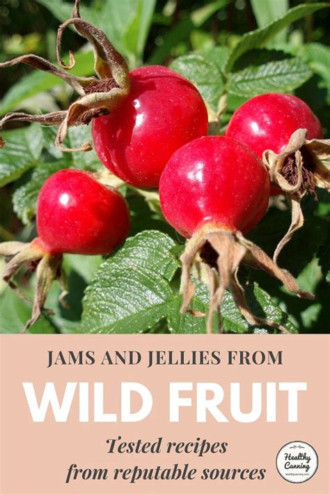 Wild Fruit Jam Review 2024