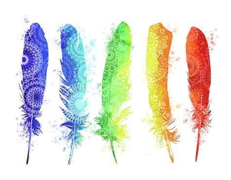 Wild Rainbow Feathers Betsul