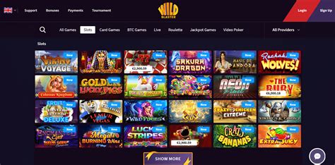 Wildblaster Casino Belize