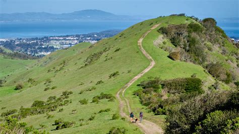 Wildcat Canyon Bwin