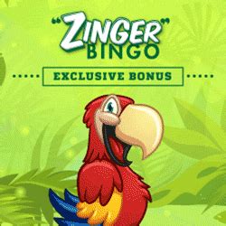 Zinger Bingo Casino Nicaragua